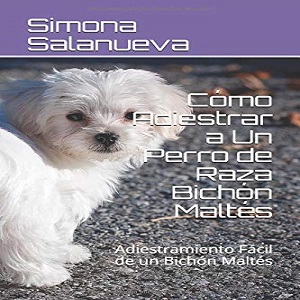 entrenar bichon maltes