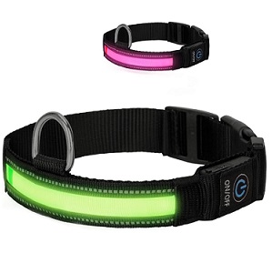 luz led par acollar de bichn maltes