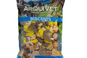 premio para bichon maltes