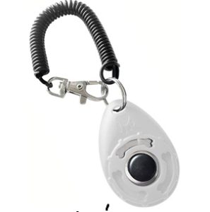 clicker para bichon maltes